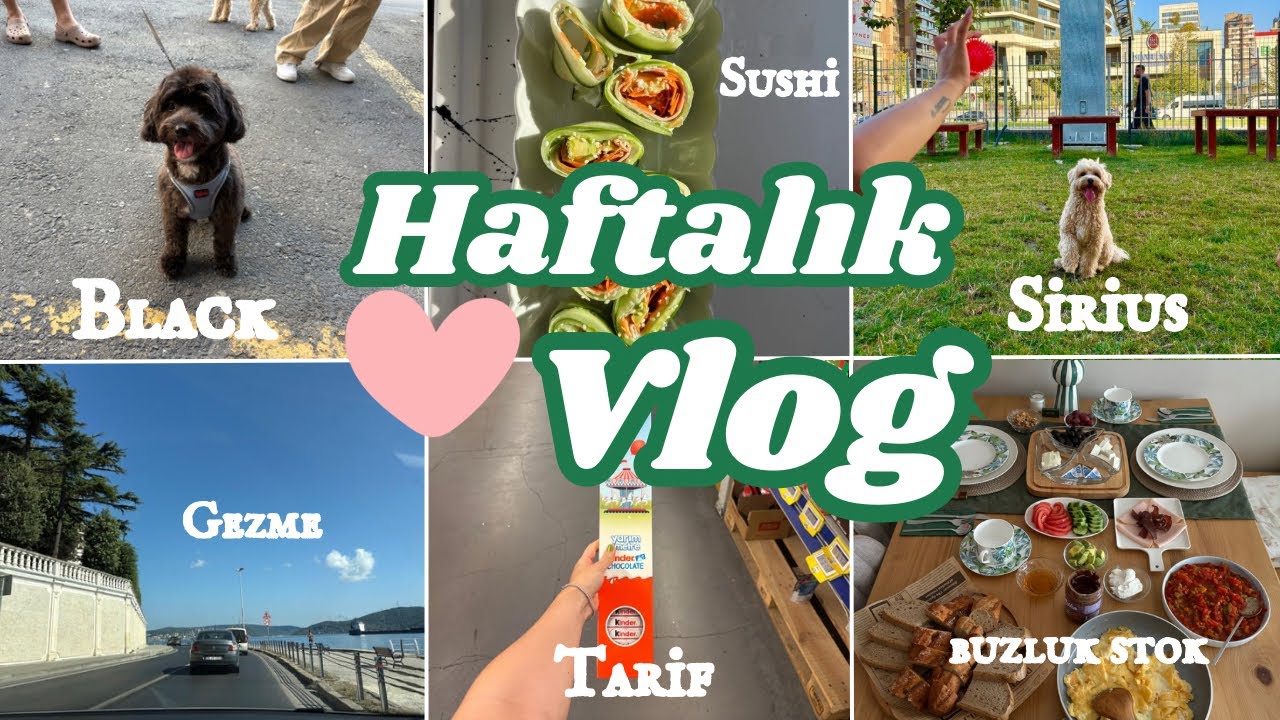 Haftalık Vlog 🐶 Köpeklerle Bir Gün, Buzluk Stoğu & Kahvaltı #vlog #vlogs #dog #dogs 