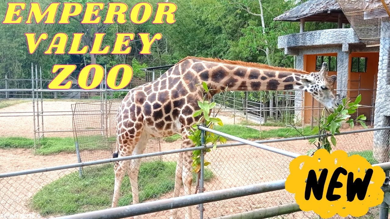 EMPEROR VALLEY ZOO TRINIDAD 2022