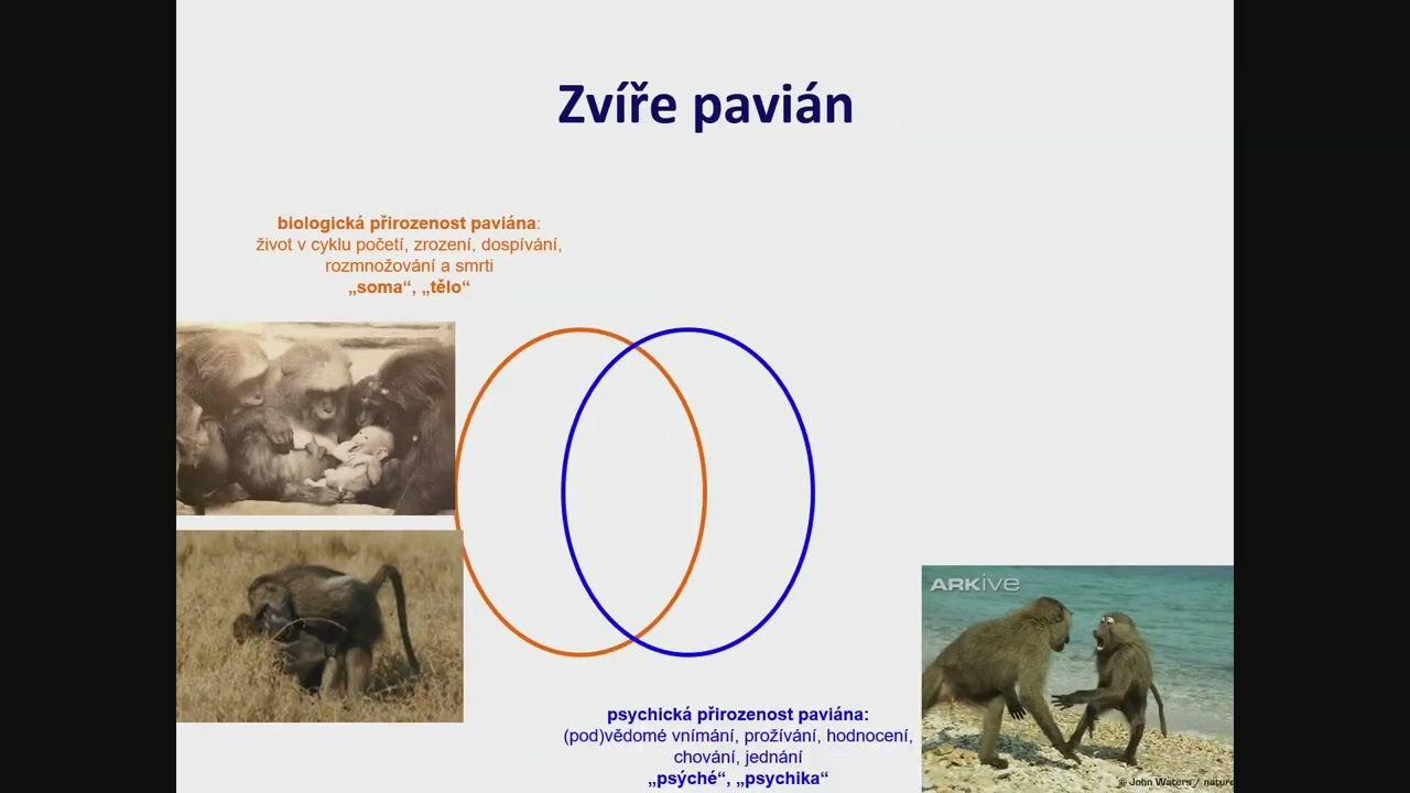 Přednáška 6 | Etika chovu a etologie hospodářských zvířat (ALA02E) | ČZU