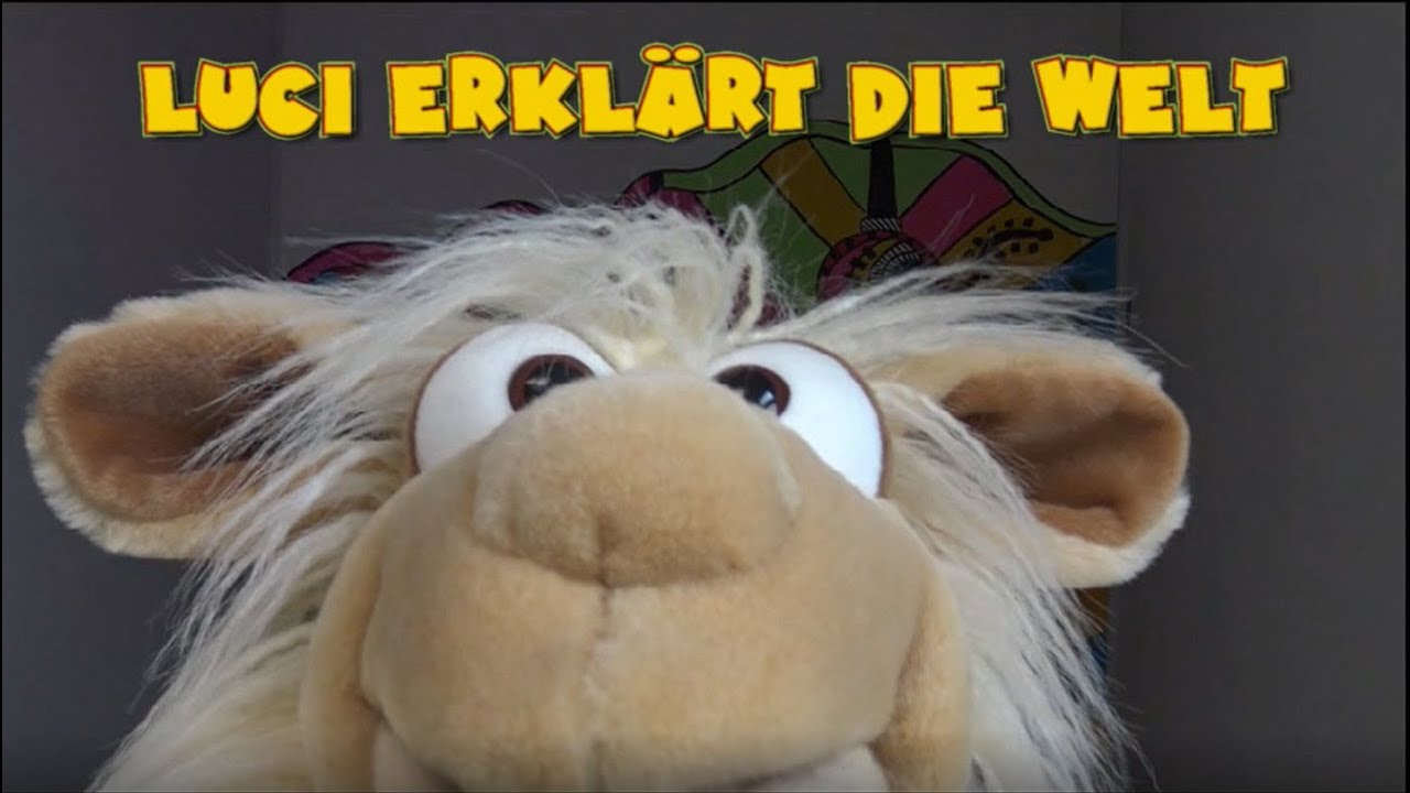 2. Klasse Mathe: Verteilen - Einführung in die Division