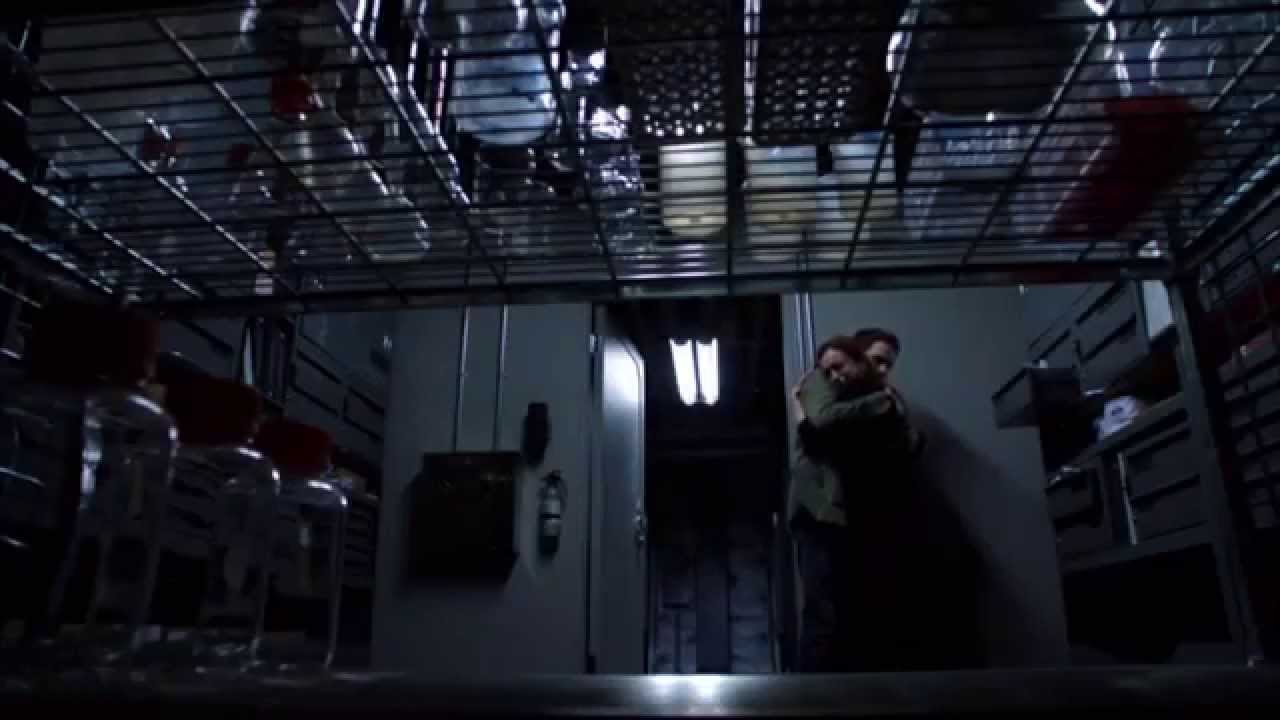 Photograph - FitzSimmons - Agents of S.H.I.E.L.D
