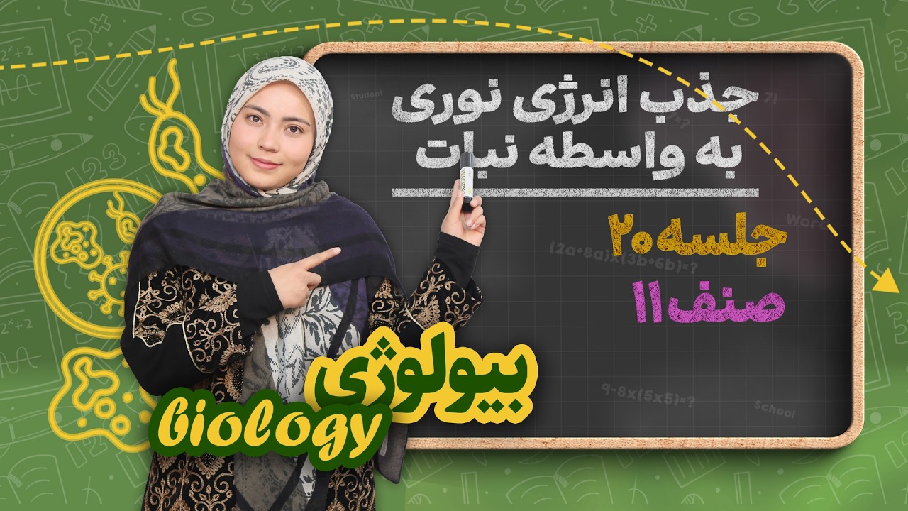 بیولوژی صنف یازدهم _ جلسه ۲۰ _ جذب انرژی نوری به واسطه نبات