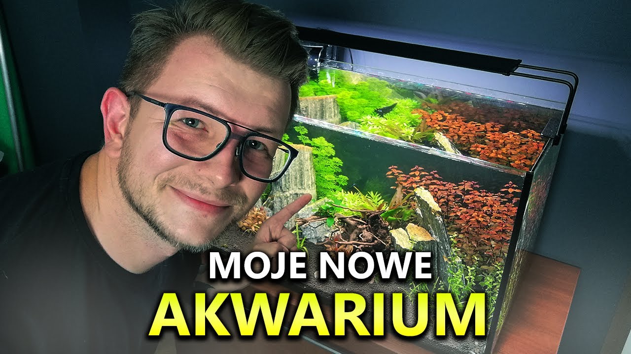 MOJE NOWE AKWARIUM?