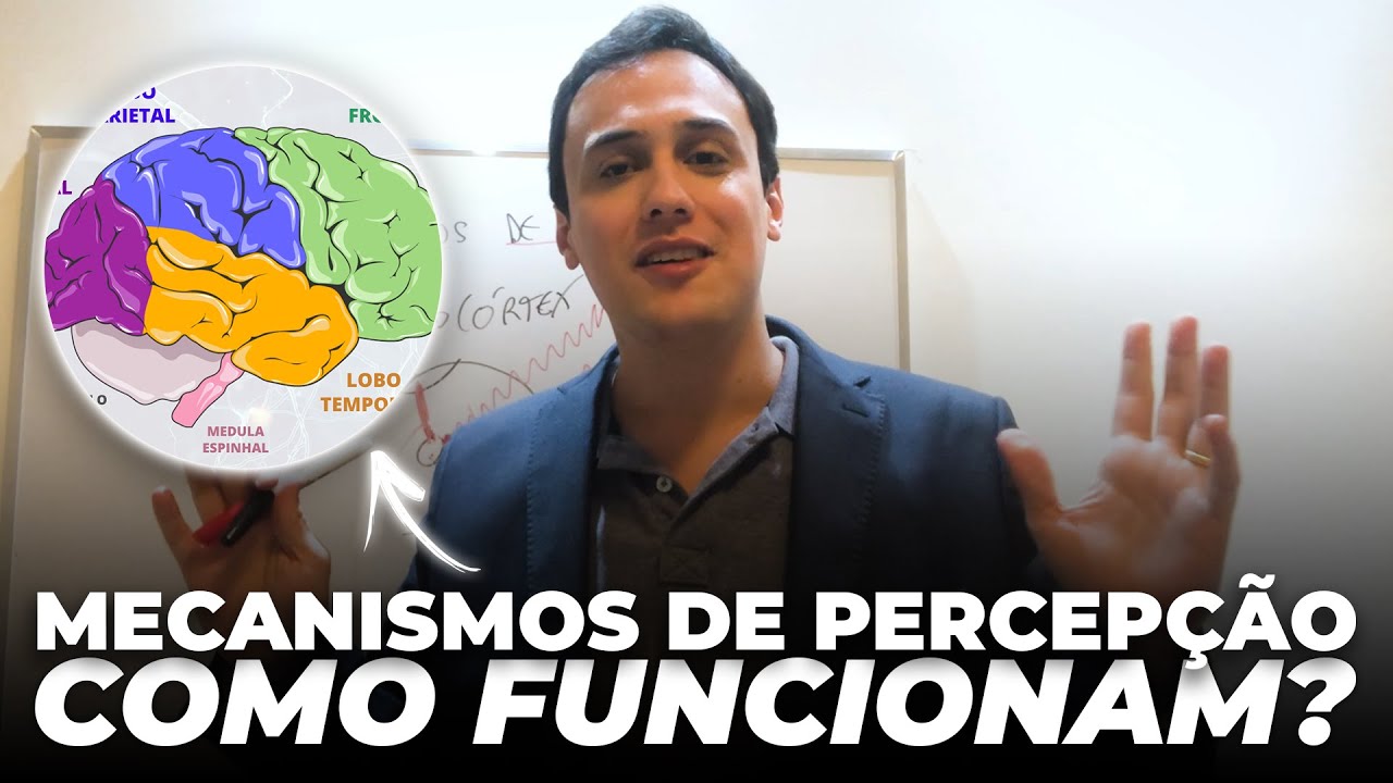 Neurociência e os Mecanismos da Percepção