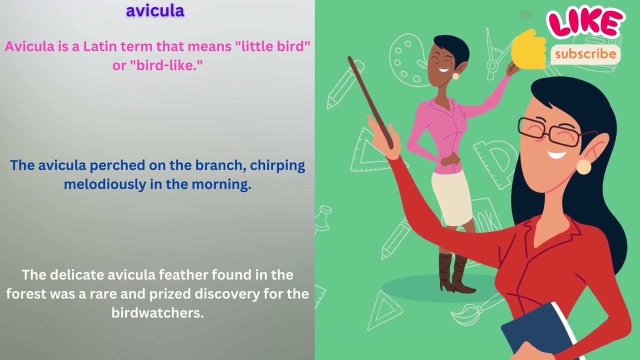 avicula Meaning in English With Example