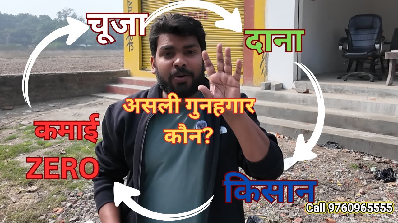 पोल्ट्री फार्मिंग में मेहनत पूरी, कमाई ZERO “किसान क्यों हमेशा घाटे में?”