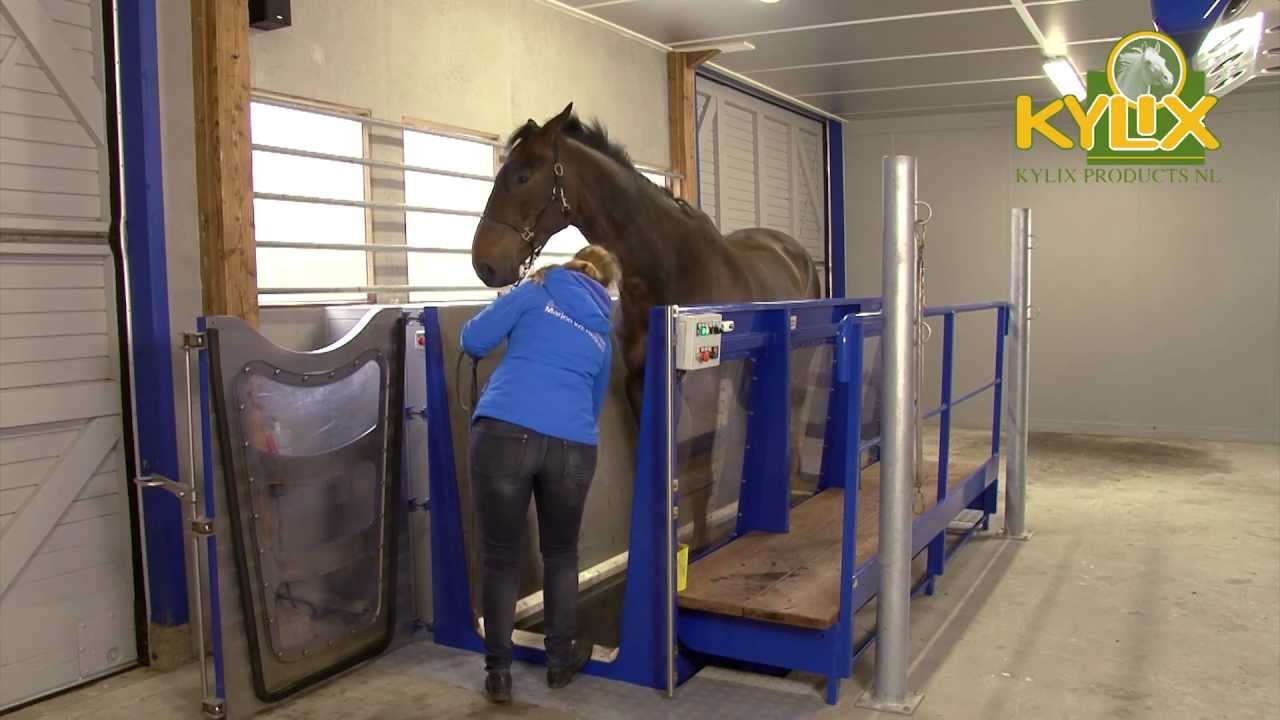 Aquatrainer for horses - Kylix Products NL