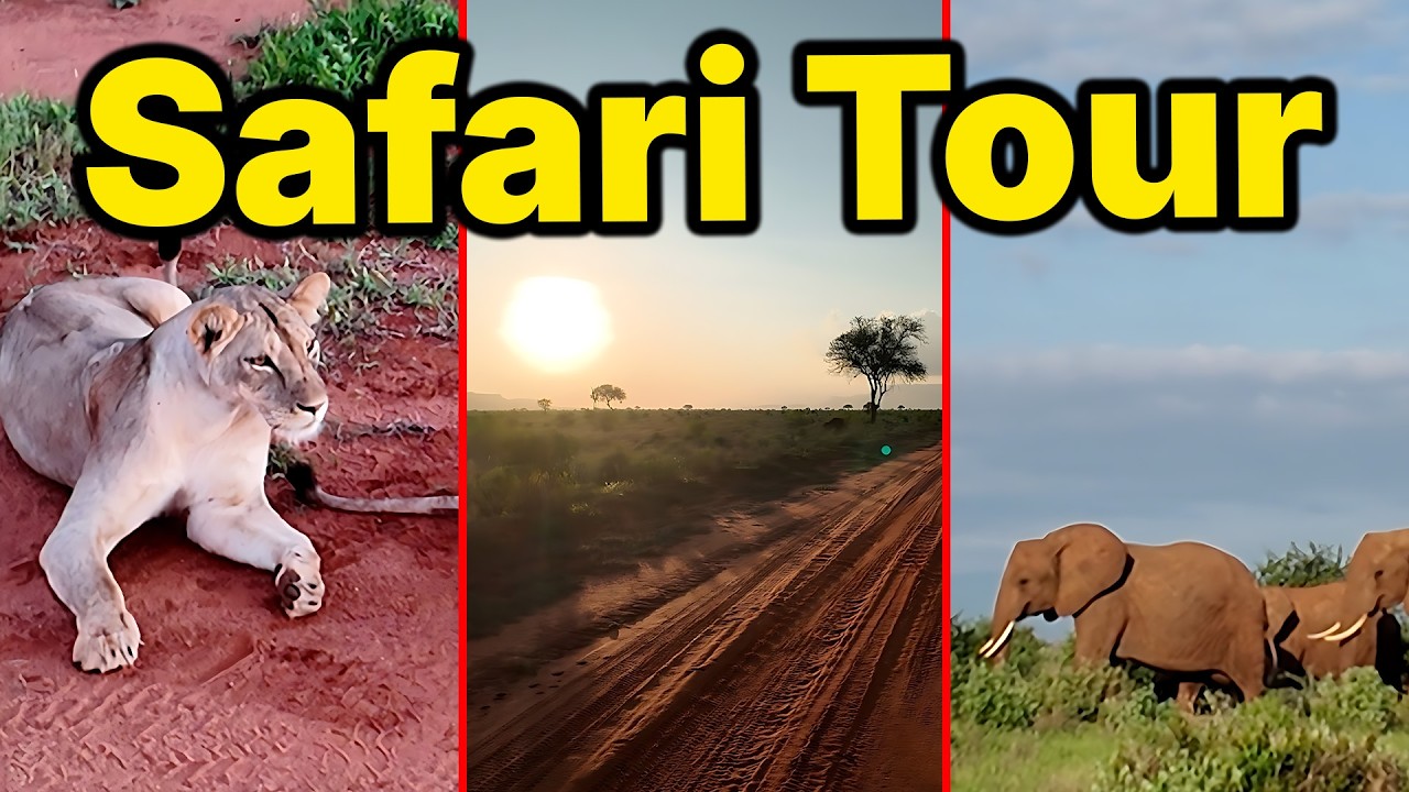 Safari in Kenia erleben: Wilde Löwen, Elefanten & exotische Natur! (Teil 2)