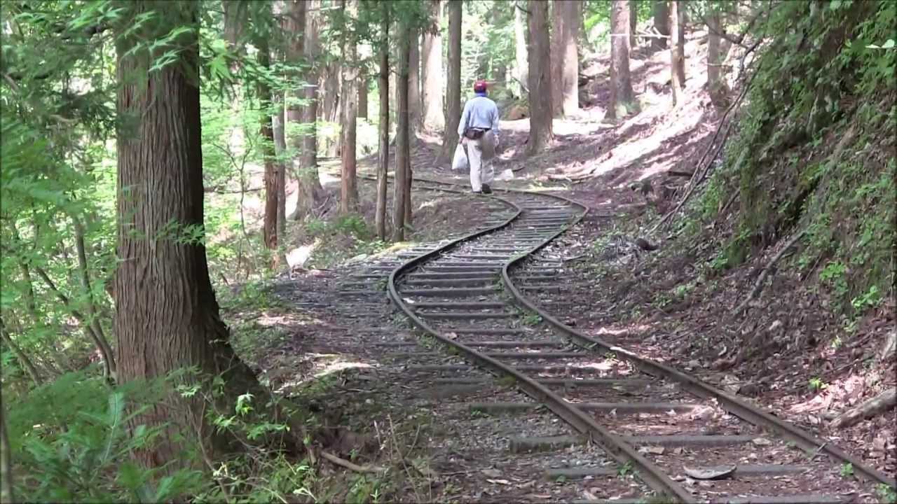 芦生の森・森林鉄道・NO2