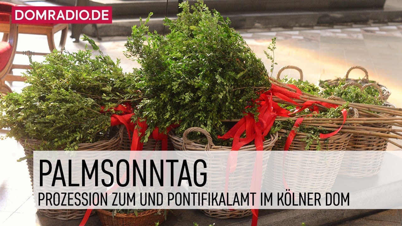 Pontifikalamt am Palmsonntag K&ouml;lner Dom am 13.04.2025 mit Erzbischof Rainer Maria Kardinal Woelki.
