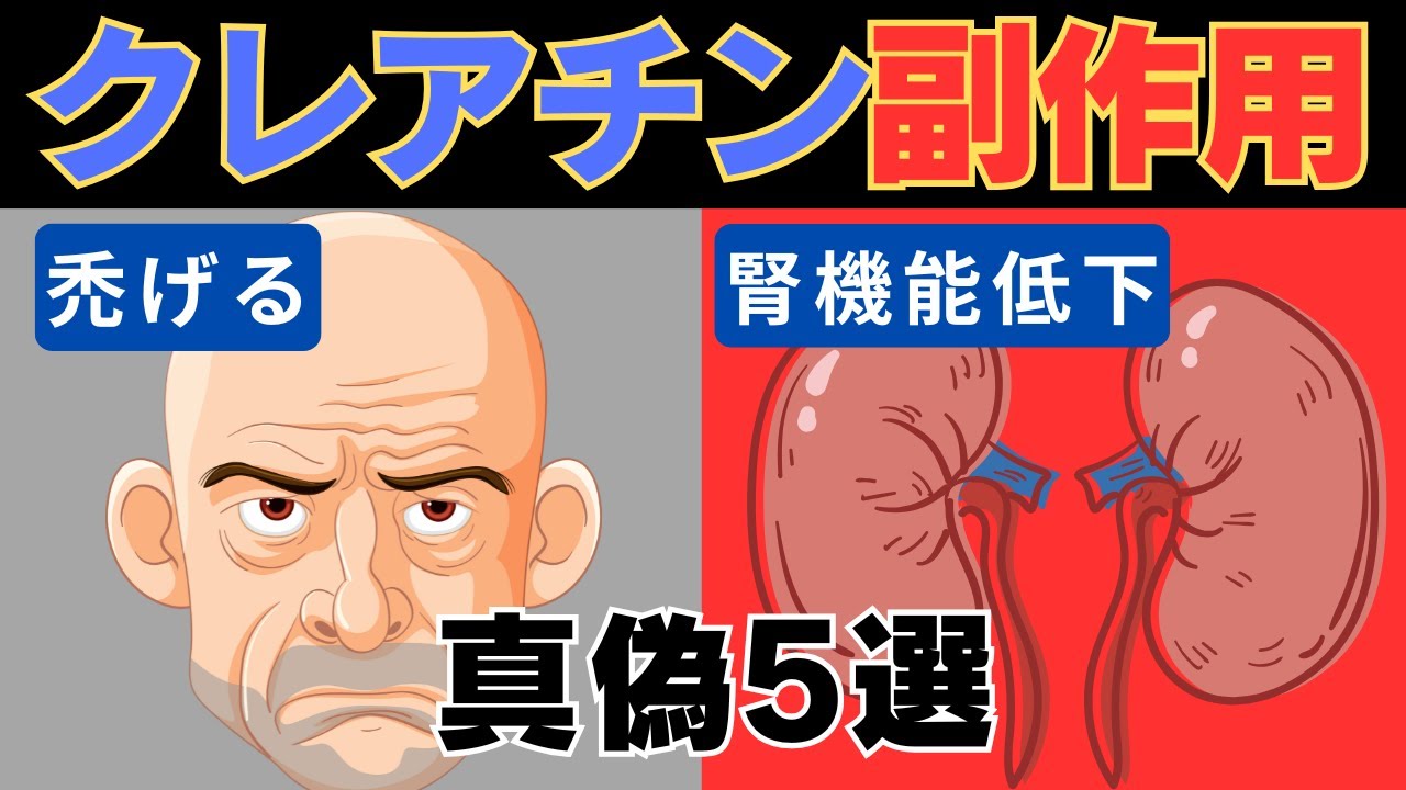 【服用中止】クレアチンの恐ろしい副作用5選　~最新研究から導き出されるクレアチンのウソ？ホント？~
