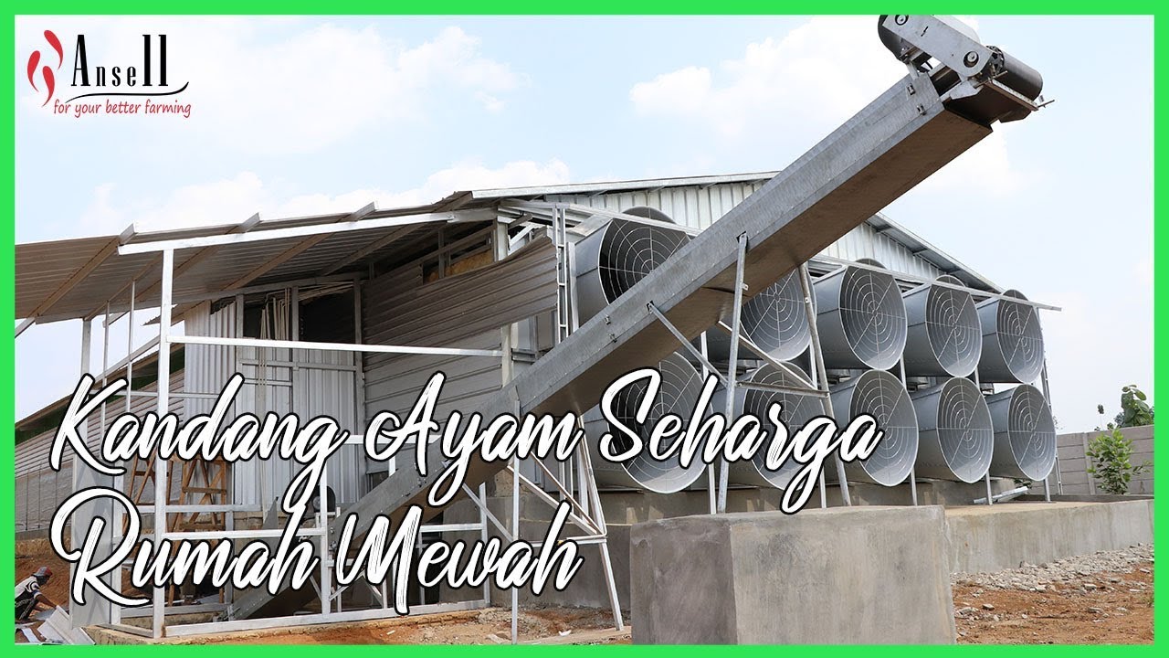 Project Kandang Ayam Layer Cages by Texha di Provinsi Lampung | Kandang Ayam Petelur Termewah!