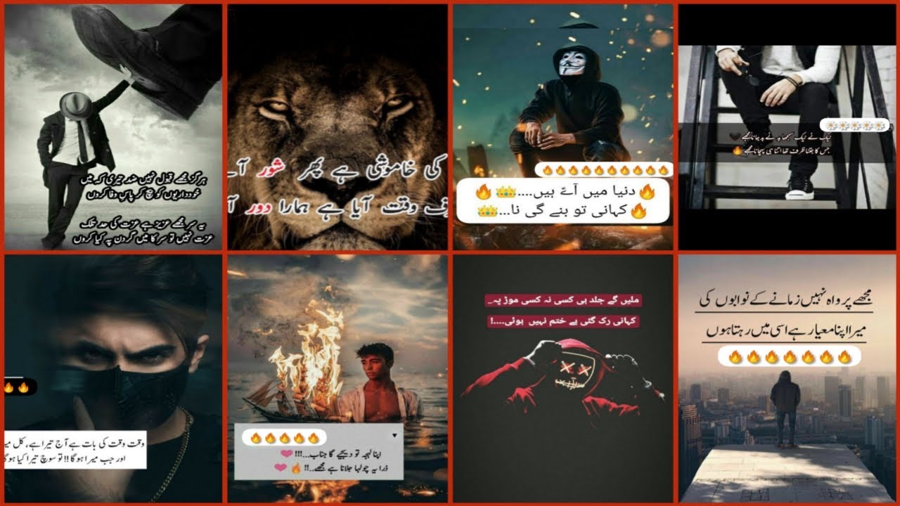 Attitude poetry with dpz \ Best attitude quotes\ Trending poetry #attitudepoetrydpz #attitudestatus