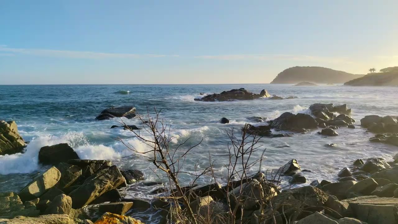 14 de febrero de 2026