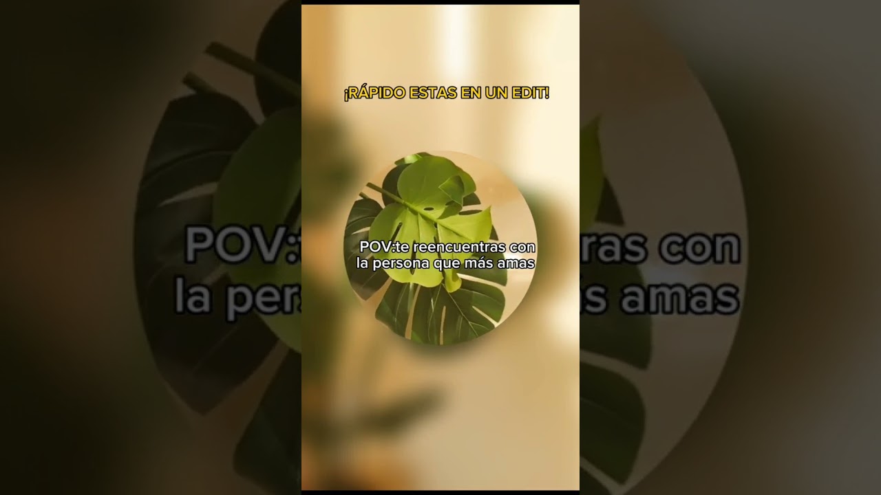 Rápido estas en un edit!