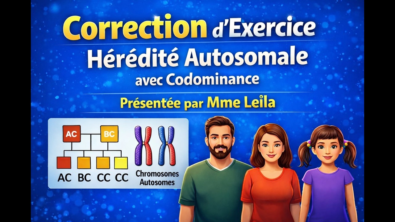 Correction d’Exercice de Génétique 🧬 | Hérédité Autosomale & Codominance (Méthode Facile)