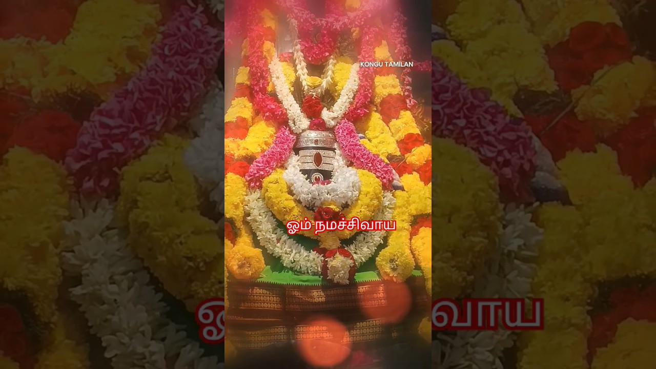#பிரதோஷபாடல்#ஓம்நமச்சிவாய #sanipradosham #siva #solgames #hindudevotionalsong #viralvideo #shots #om