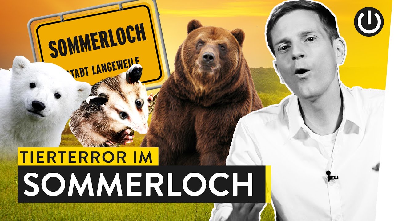 Warum süße Tiere im Sommerloch landen | WALULIS