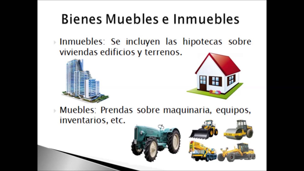 Garant&iacute;as