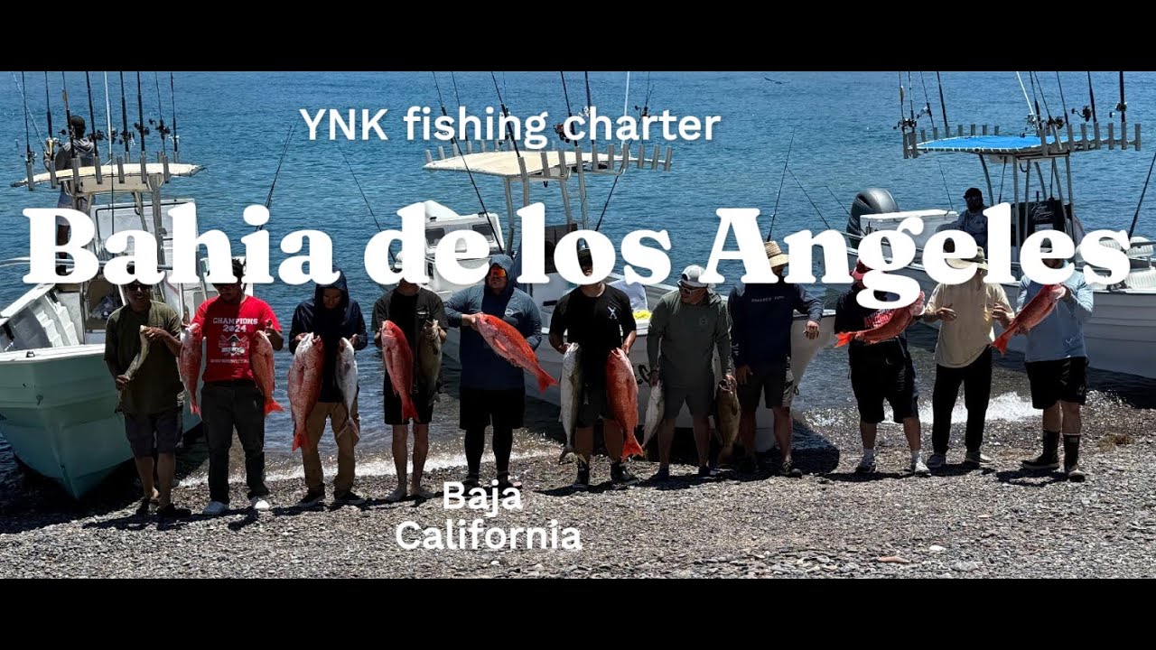 EPIC FISHING in Baja!! | Bahia de Los Angeles Baja California
