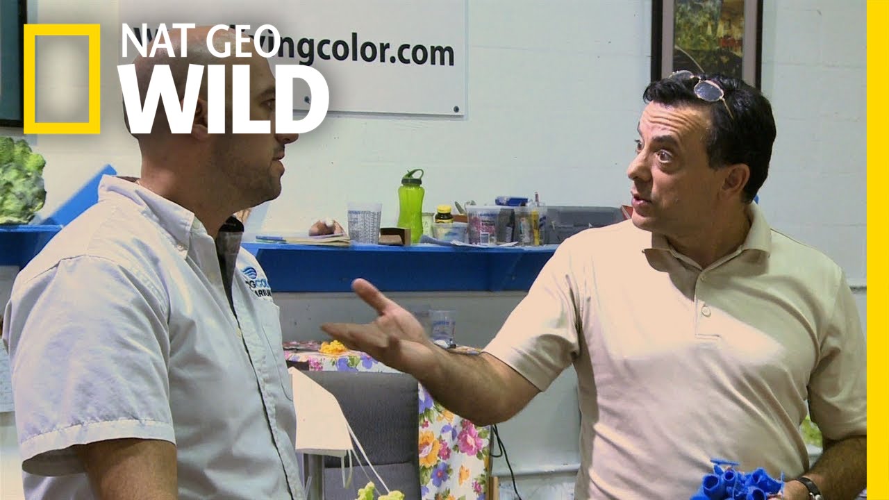 Client Is Always Right | Fish Tank Kings