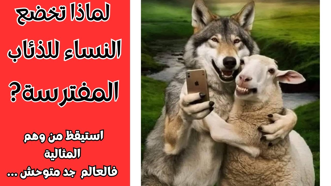 سر انجذاب المرأة للرجل (الذئبوي) ورفضها  للطيف المثالي