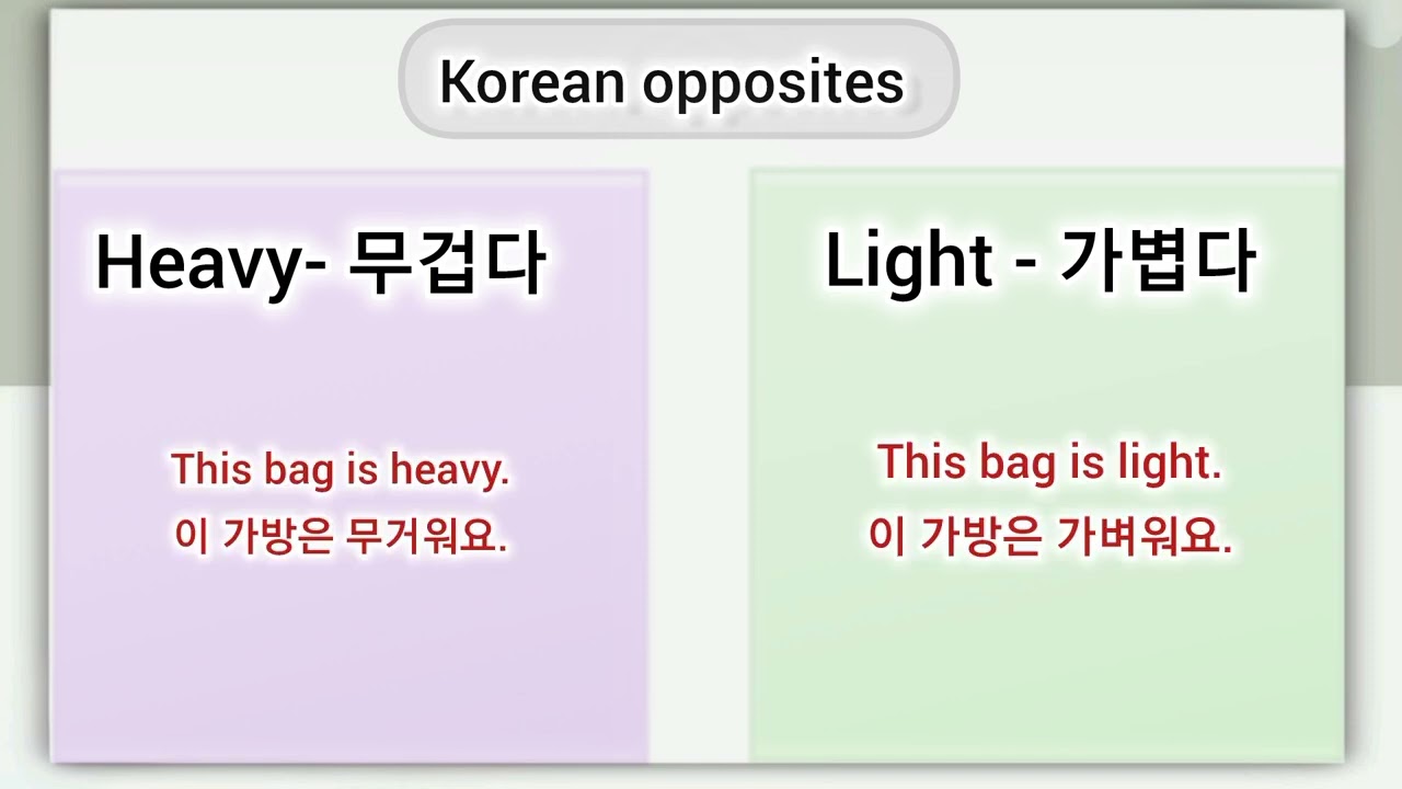 Must know korean opposites|korean vocabulary 