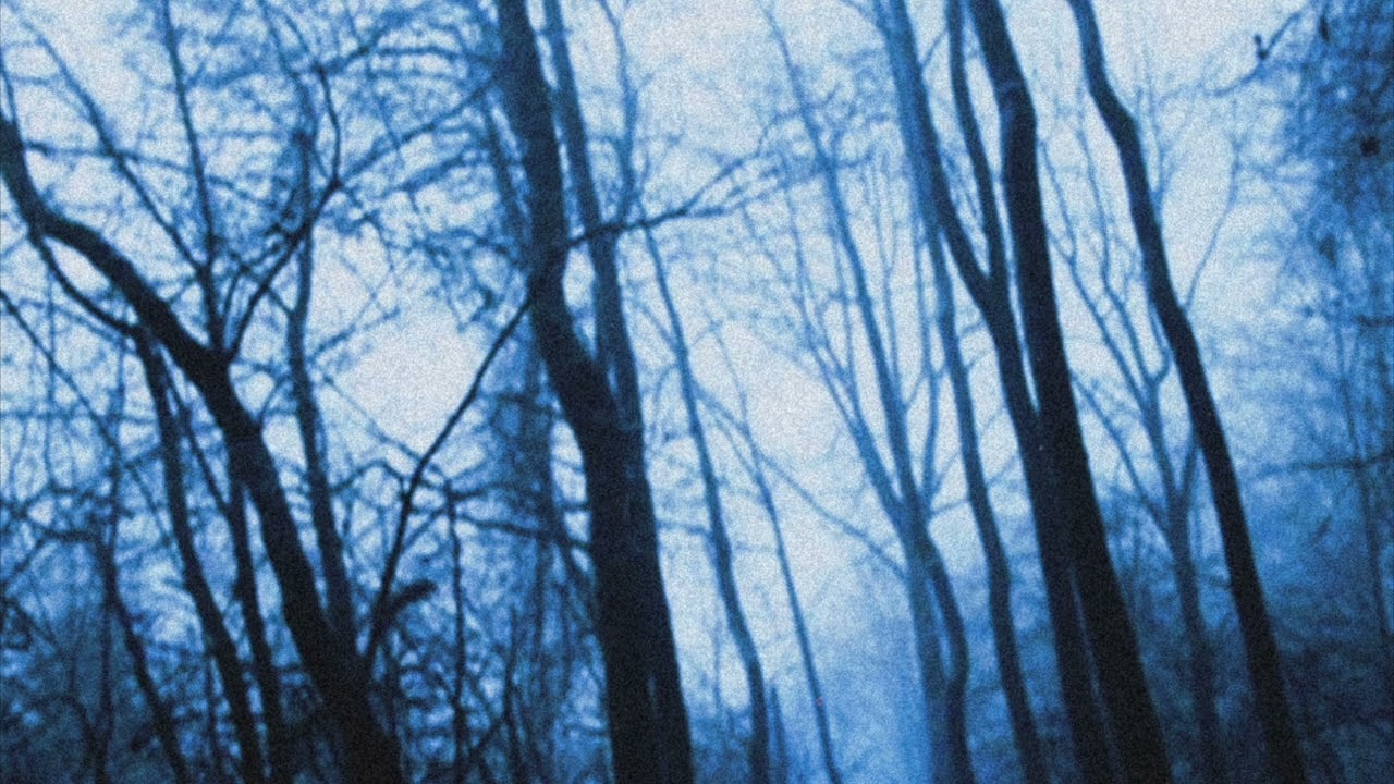 Pozeidon & Boogiesnacks - Lockdown