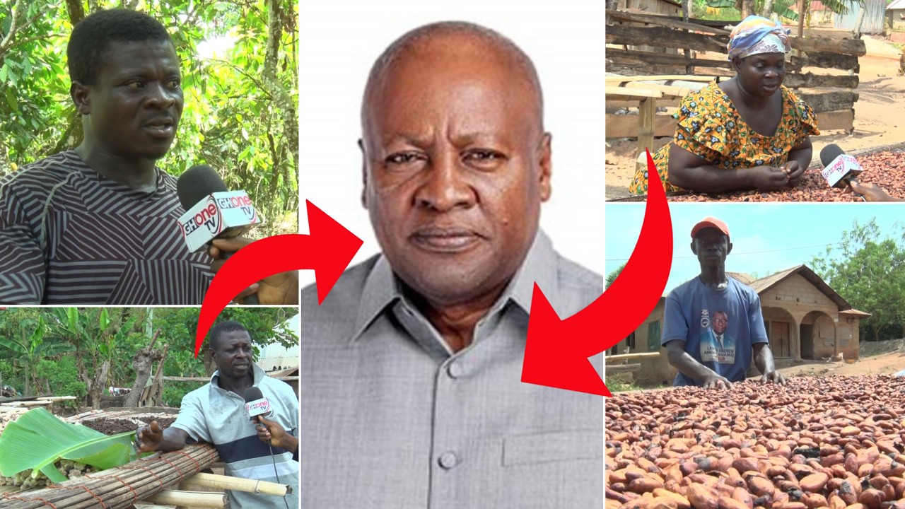 WE TRUST MAHAMA! Cocoa Farmers In Adansi Ahensan EXPRESS Confidence Despite Price Cut; Rejects Gala