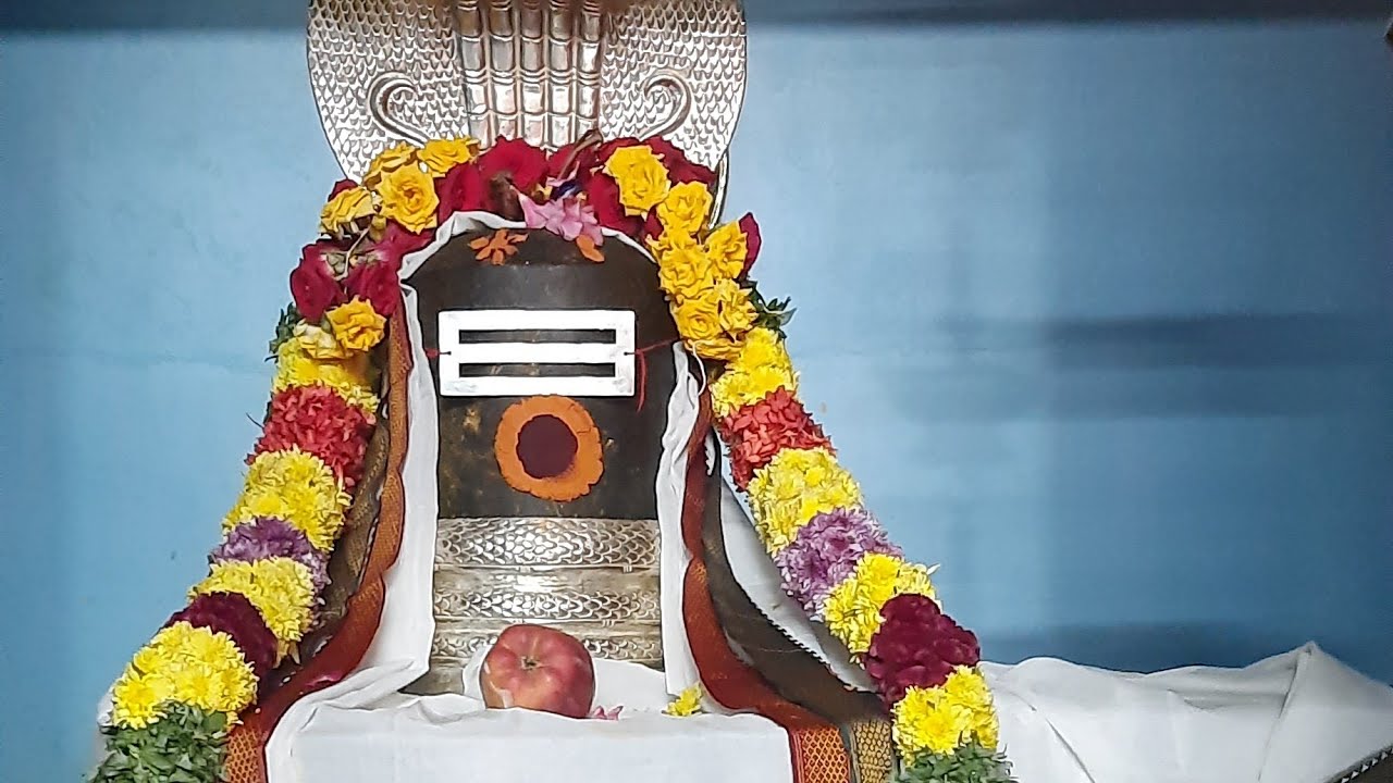 காசி விஸ்வநாதர் மற்றும் காசி விசாலாட்சி , முருகனுக்கும் சிறப்பு அபிஷேக ஆராதனன