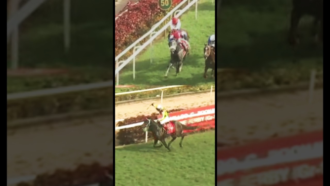 Zacharias with G Vivek up wins The Pune Derby Gr 1 2025 #punederby #rwitc #horseracing