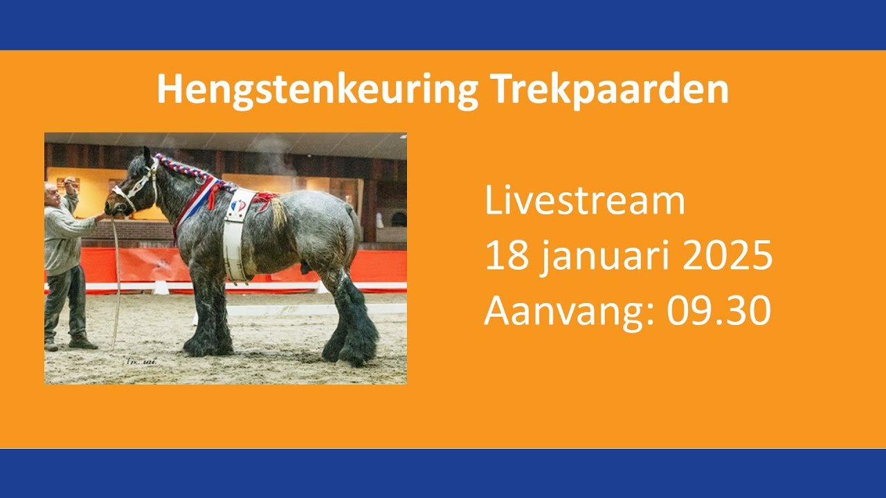Hengstenkeuring Trekpaarden 2025
