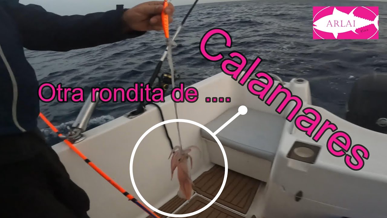 Calamares "a la Correguda" V.2.0