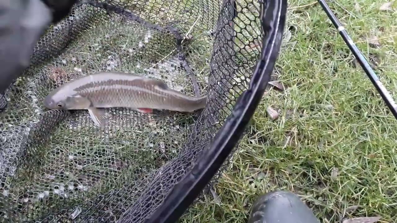 Tlouští plavaná 2