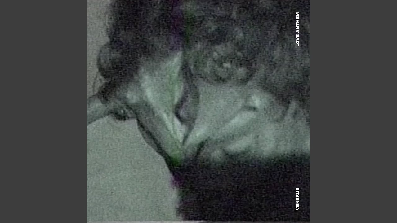 Fulmini/Il fu Venerus