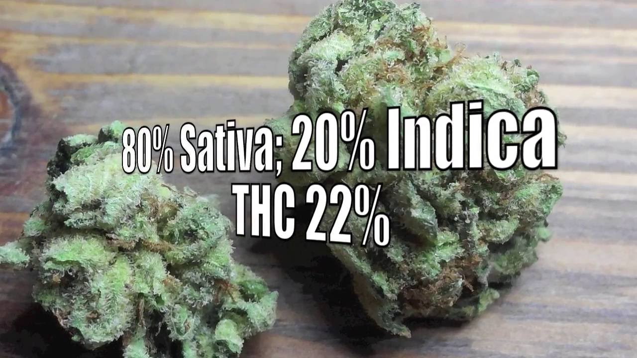 Sour Tangie Review * Weed * Cannabis * Strain *