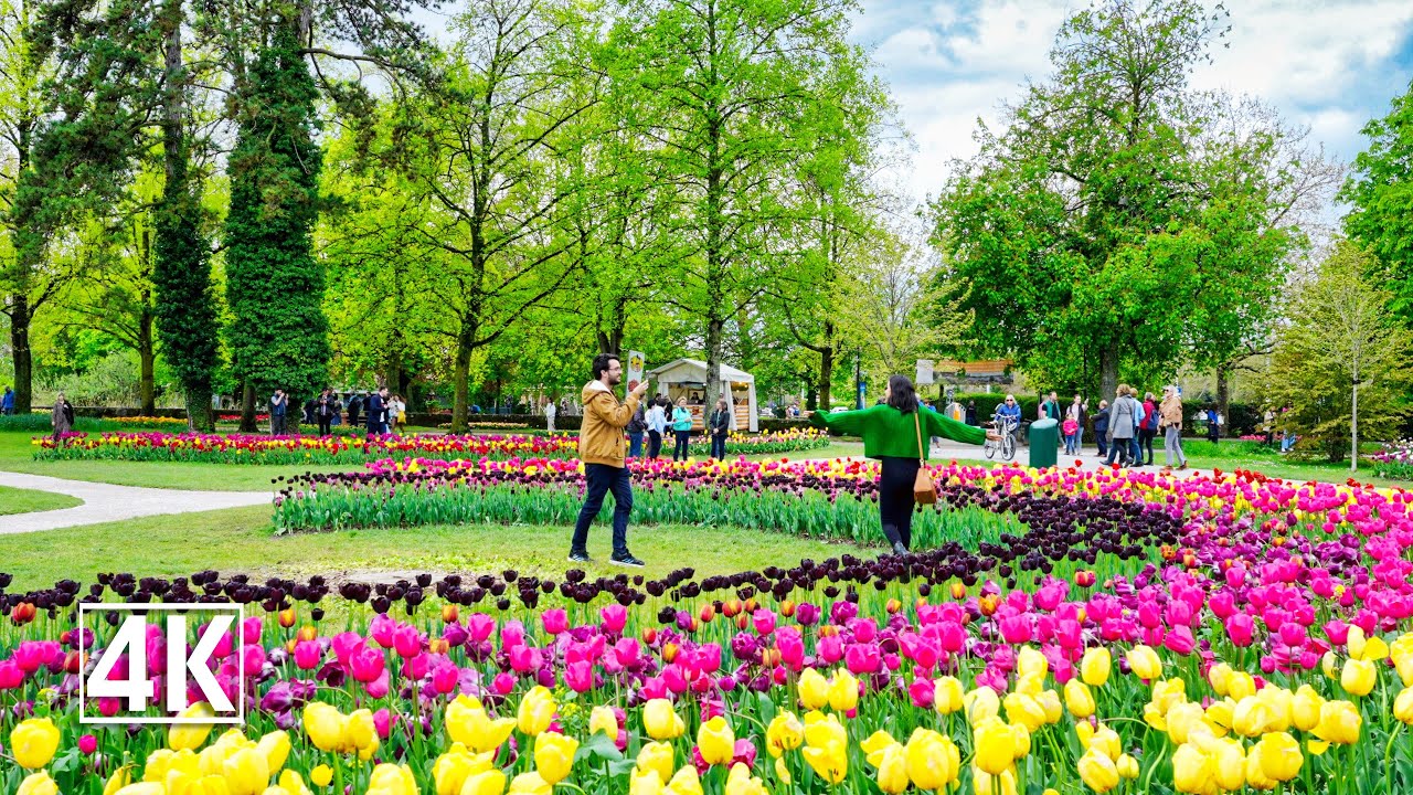 Most beautiful Tulip Festival in Switzerland 🇨🇭 the Morges Tulip Festival
