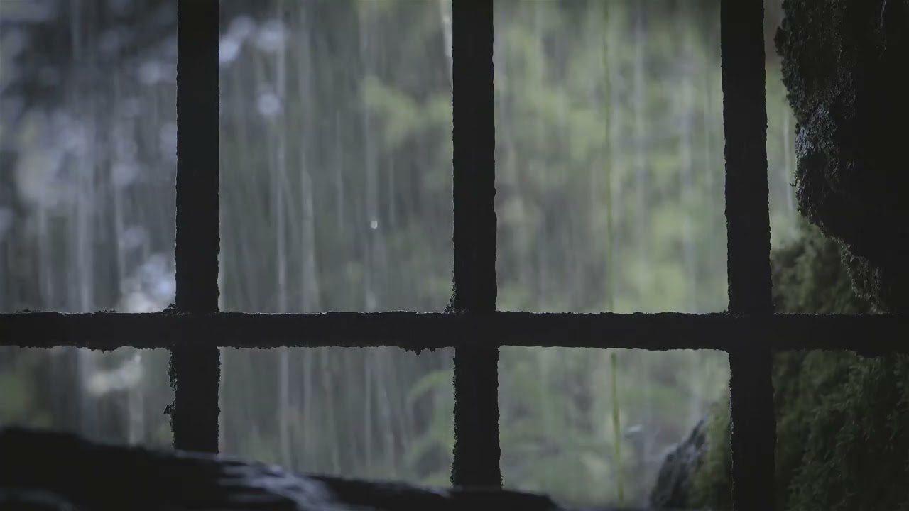 Ambient Rain and Thunderstorm Sounds for Sleep/Study/Work/Relaxation/Focus