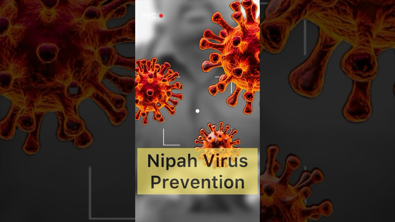 Nipah virus - Prevention (English) 