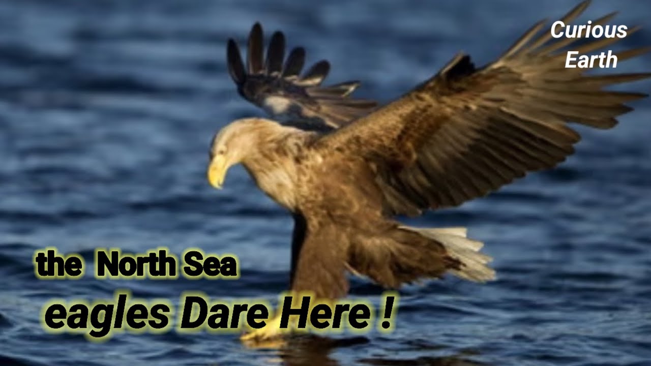 Dangers of North sea. Does North sea swallow it's ships? Unknown facts about the North sea.