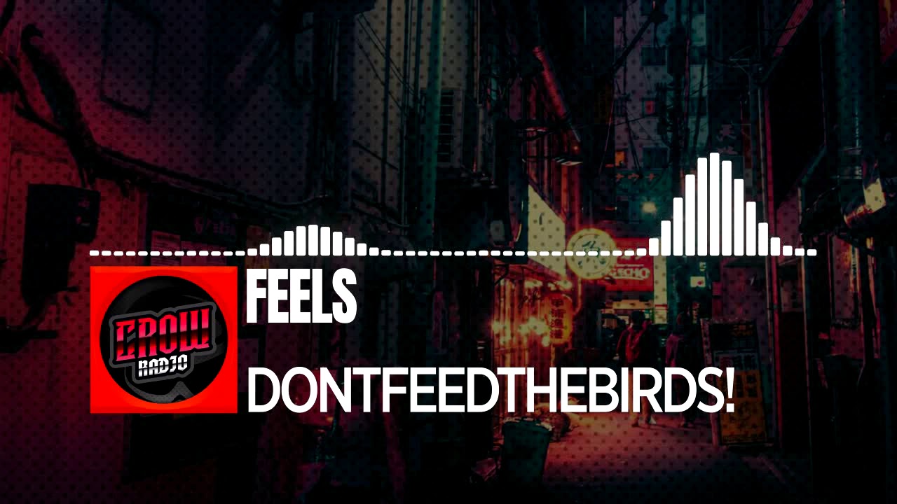 DONTFEEDTHEBIRDS! - Feels