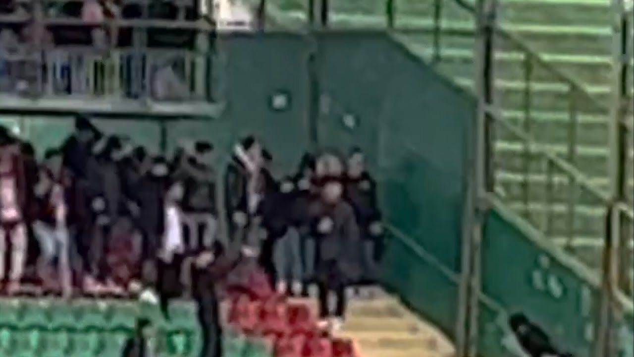 Ternana-Bari: Tifoso barese entra in campo e tenta di bruciare uno striscione