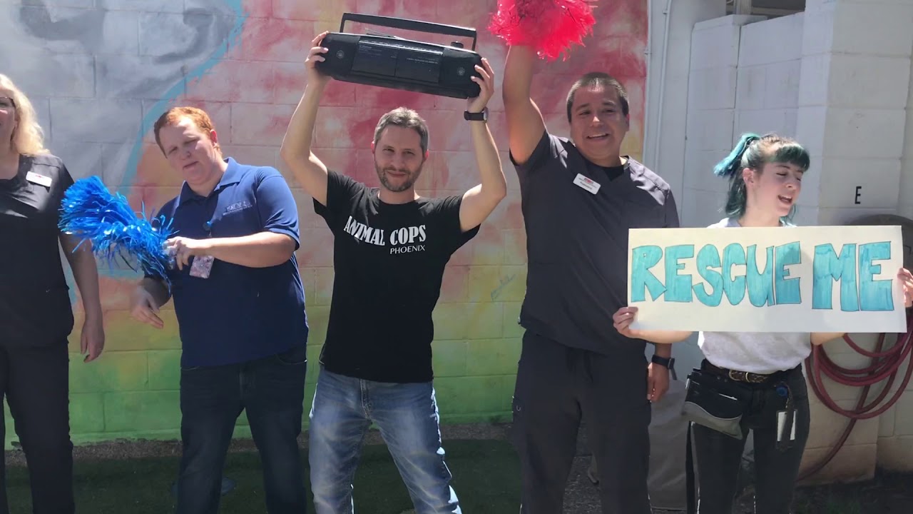 Arizona Humane Society's Lip Sync Challenge: Rescue Me
