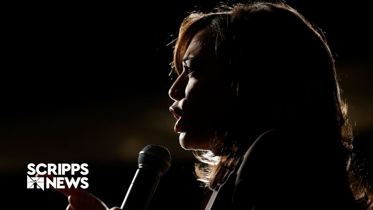 Democrats set to ratify 2024 presidential nominee before convention