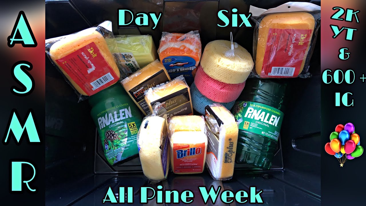 ASMR (Day Six) All Pine Week Sudsy Sponge Squeezing (2K YT & 600 + IG Followers Celebration)