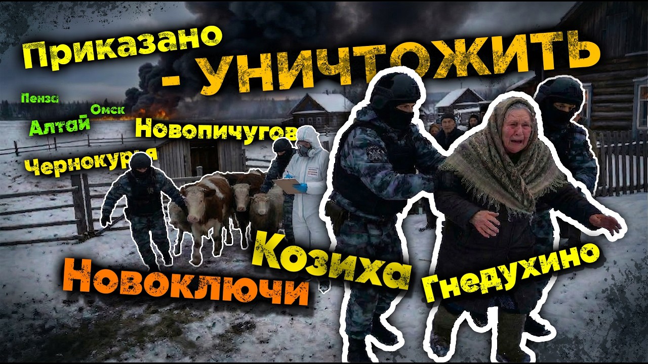 ❗️ХРОНОЛОГИЯ Забоя СКОТА в Сибири - ПОЧЕМУ люди встали? ⚠️