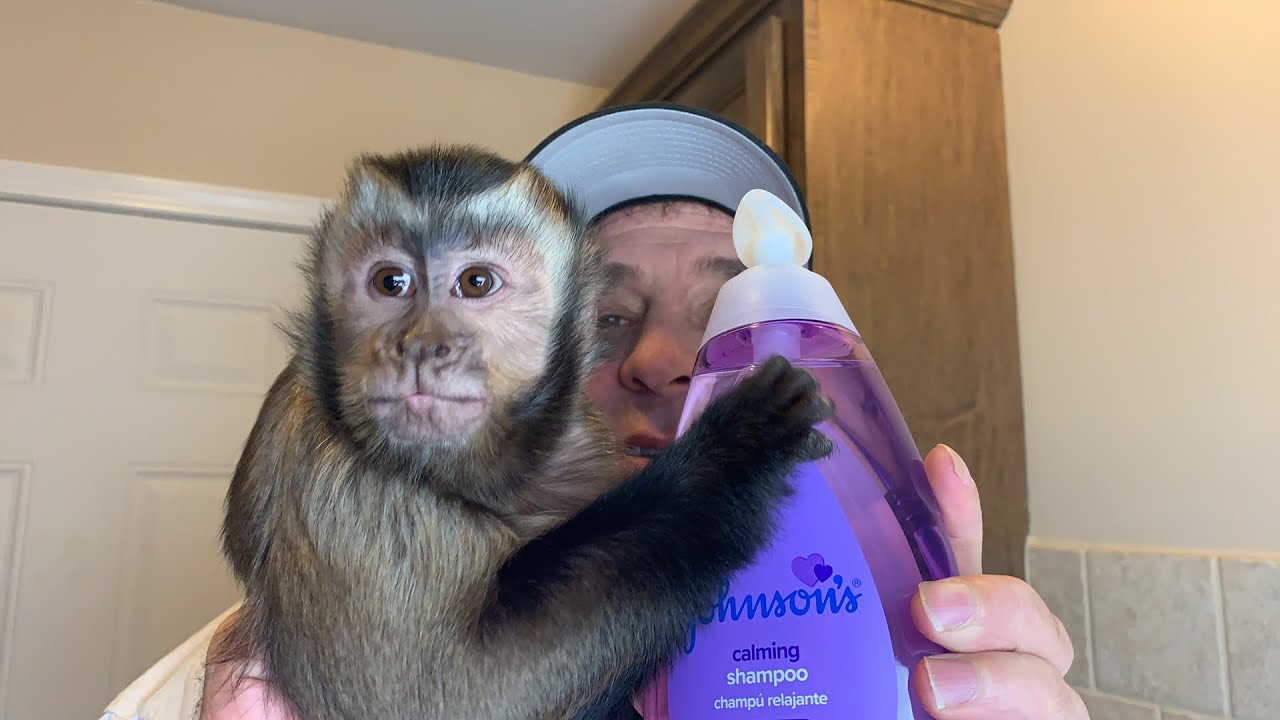 Pretty Monkey Girl Takes a Hot Bath!
