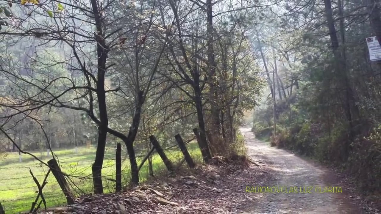 LA SIERRA DEL HUAJUCO MADRIGUERAS DE PORFIRIO CADENA 