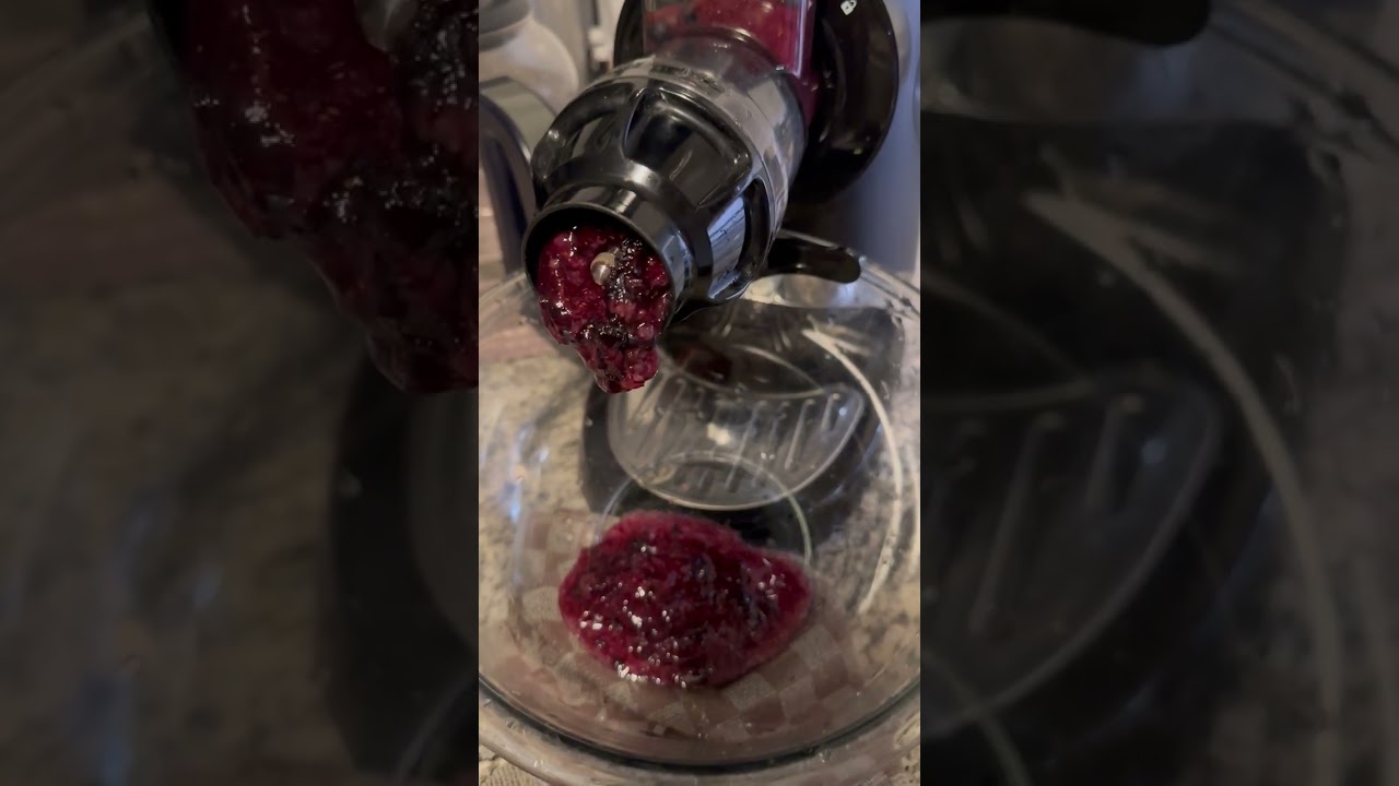 Blueberry Banana Persimmon Sorbet On The Sana Supreme Juicer