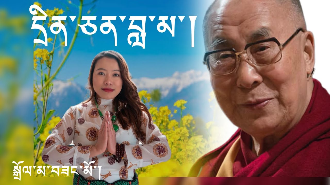 New Tibetan song Drinchen Lama/ cover by Dolma Sangmo.